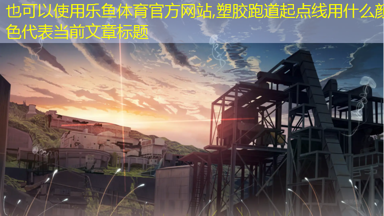 塑胶跑道起点线用什么颜色